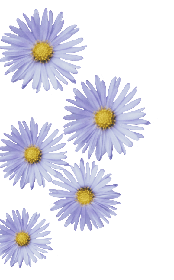 Flower image background